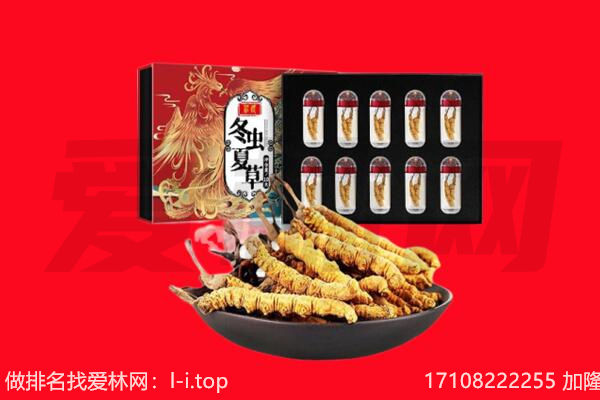 丰南区回收虫草.jpg